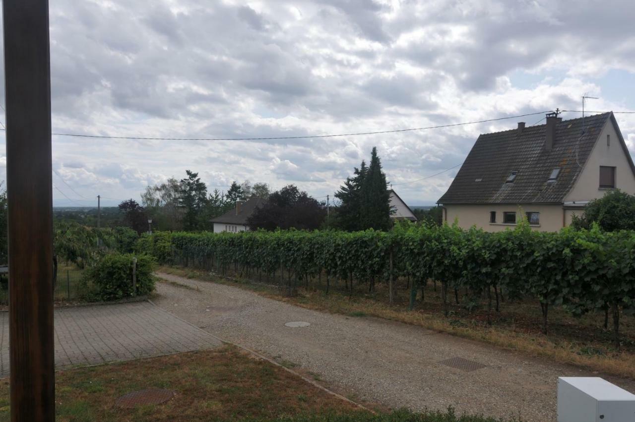 Les Cerisiers Villa Bernardswiller ภายนอก รูปภาพ
